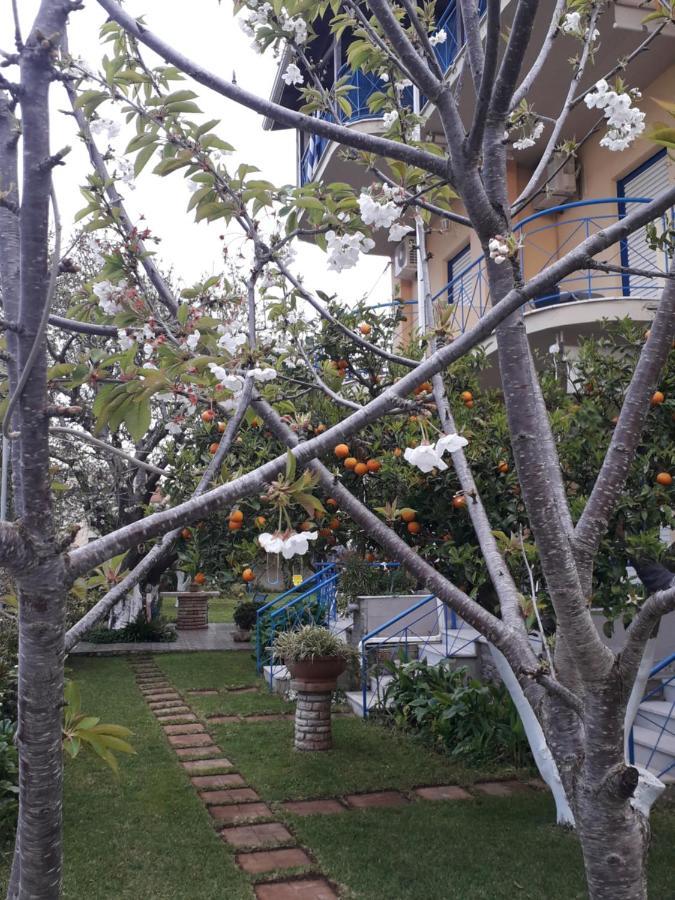 Leader Apartment Mytikas  Ngoại thất bức ảnh